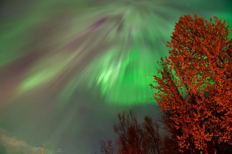 Northern lights illuminate the sky in Alaska in October 2024.