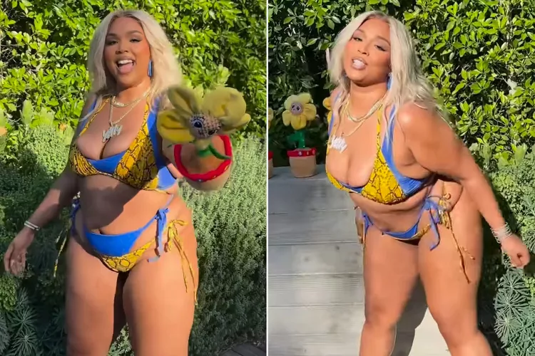 Lizzo. Credit : Lizzo/Instagram